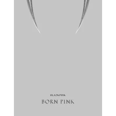 BLACKPINK - BORN PINK Box Set (GRAY version) (2nd Album) 