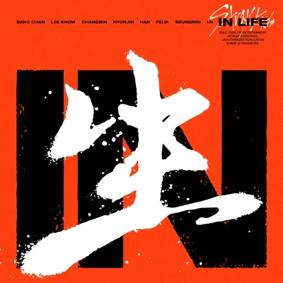 Stray Kids - IN LIFE (Standard B Version) (1st Album Repackage) - CATC